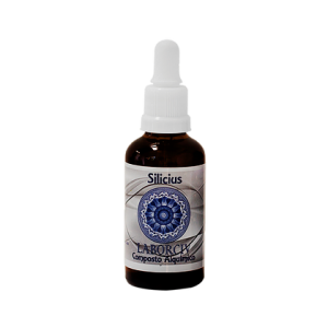 Silicus