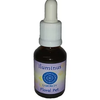Floral Pet Iluminus - Regenerar